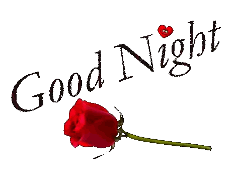 Red Rose Next To Good Night Sticker