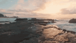 Red Rose Of Dawn GIF