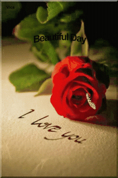 Red Rose On Paper Saying I Love You GIF