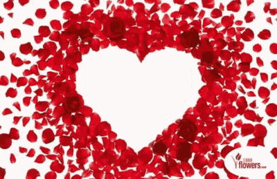 Red Rose Petal Heart With 1000 Flowers.com GIF