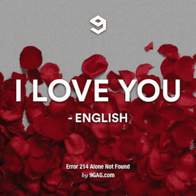 Red Rose Petals Szeretlek GIF