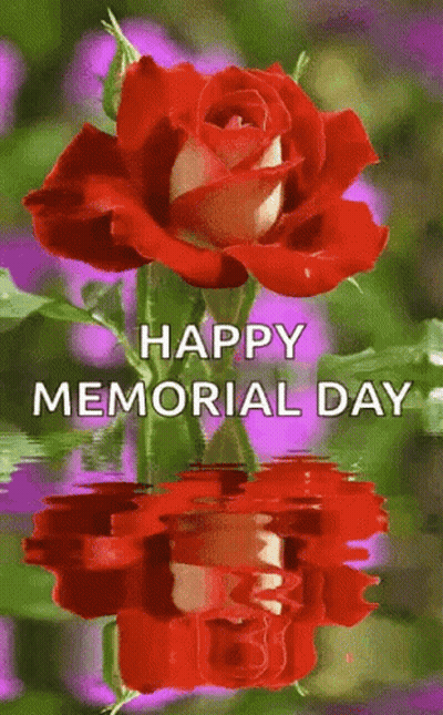 Red Rose Reflected In Water Happy Memorial Day GIF