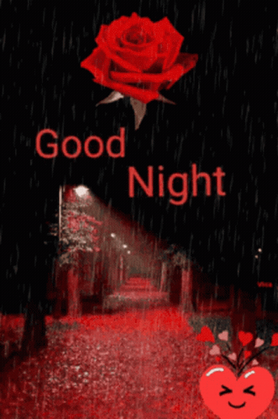 Rosa roja diciendo Buenas noches GIF