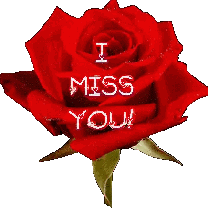 Red Rose Saying I Miss You Sticker