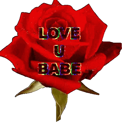 Red Rose Saying Love U Babe Sticker
