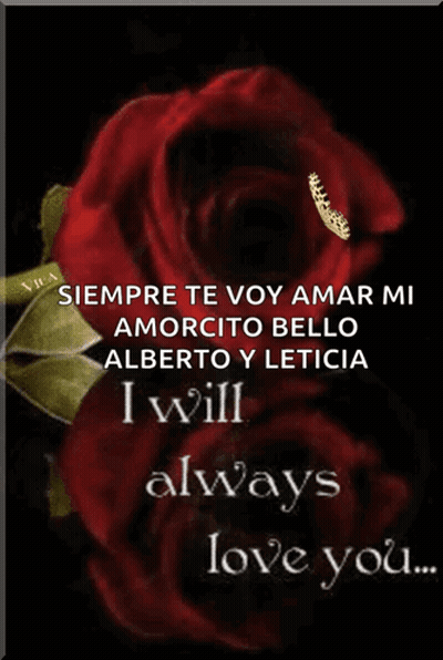 Red Rose Siempre Te Voy Amar Alberto Y Leticia GIF
