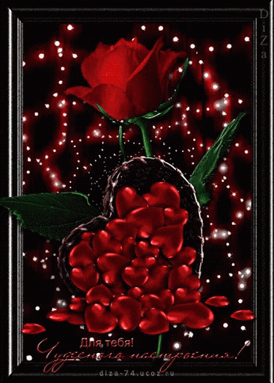 Red Rose Surrounded by Red Hearts для тебя