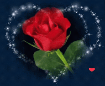 Red Rose Surrounded By Sparkles And Small Red Heart GIF