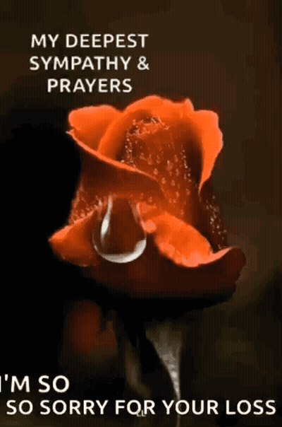 Red Rose Water Drop My Deepest Sympathy & Prayers GIF