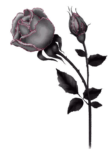 Red Rose With Black Leaves Sticker