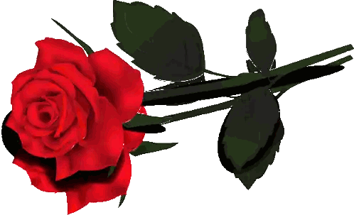 Red Rose With Black Leaves Sticker