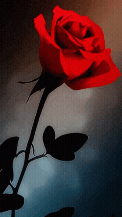 Red Rose With Black Stem And Leaves GIF