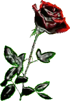 Red Rose With Black Stem And Leaves Sticker