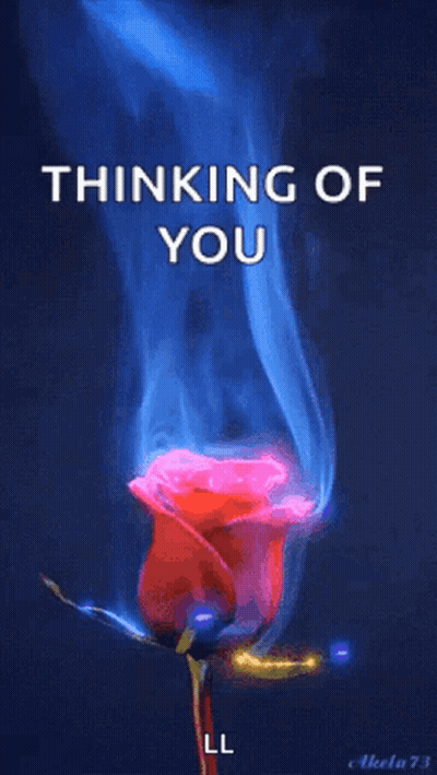 Red Rose With Blue Smoke Thinking Of You GIF
