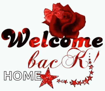 Red Rose With Bow Welcome Back GIF