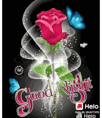 Red Rose With Butterflies Good Night Sticker