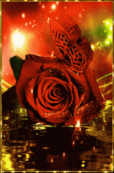 Red Rose With Butterfly GIF