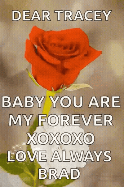 Red Rose With Dear Tracey Message GIF