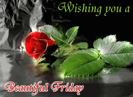 Red Rose With Green Leaves Wishing You A Beautiful Friday GIF