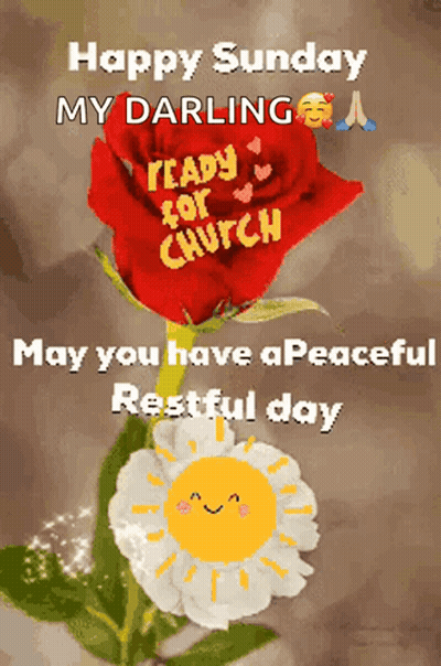 Red Rose With Happy Sunday My Darling GIF