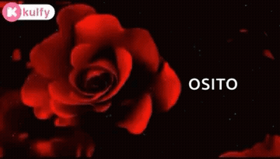 Red Rose With Have A Happy Afternoon Osito GIF