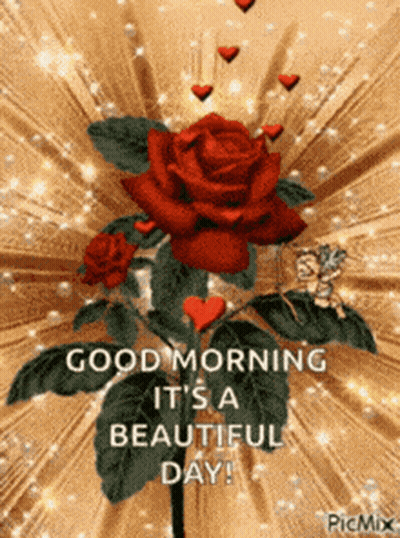 Red Rose With Hearts Good Morning It's A Beautiful Day GIF