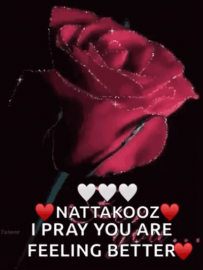 Red Rose With Hearts Nattakoon I Pray You Are Feeling Better GIF