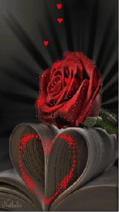 Red Rose With Laska GIF