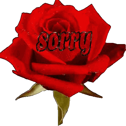 Red Rose With Sorry Sticker