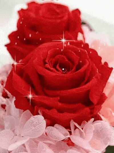 Red Rose With Sparkles GIF