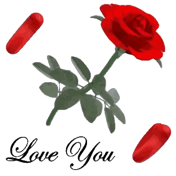 Red Rose With Two Red Hearts Saying Love You Sticker