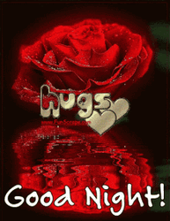Red Rose With Water Reflection Good Night GIF