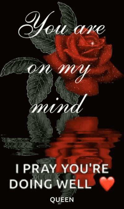 Red Rose You Are On My Mind GIF