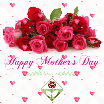 Red Roses Against Black Background GIF