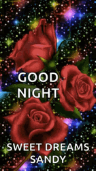 Red Roses And Colorful Stars Good Night GIF