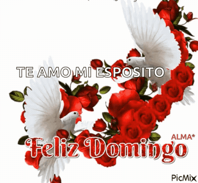 Red Roses And White Doves Te Amo Mi Esposito Feliz Domingo GIF