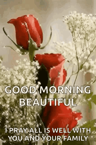 Red Roses Baby's Breath Good Morning Beautiful GIF