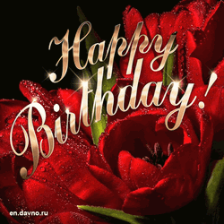 Red Roses Birthday Flowers Golden Birthday GIF