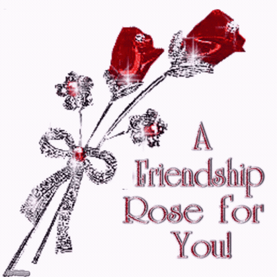Red Roses Bouquet With Friendship Rose For You GIF