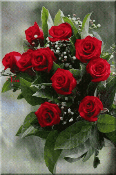 Red Roses Bouquet With Lisa Name GIF