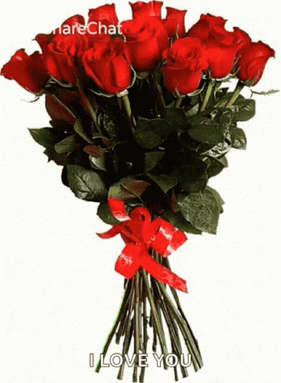 Red Roses Bouquet With Ribbon Saying I Love You GIF