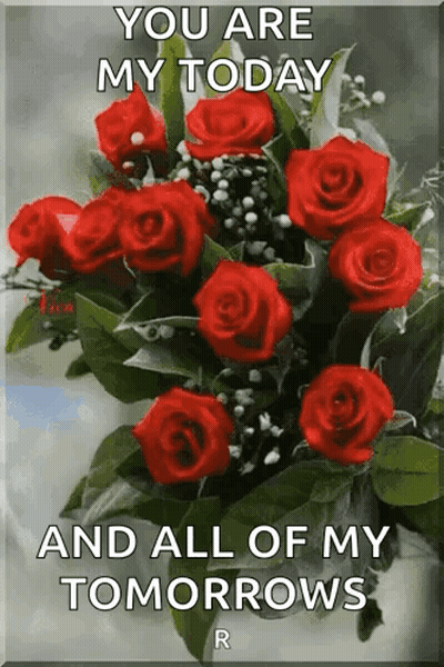 Red Roses Bouquet You Are My Today And All Of My Tomorrows GIF