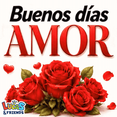 Red Roses Buenos Días Amor GIF