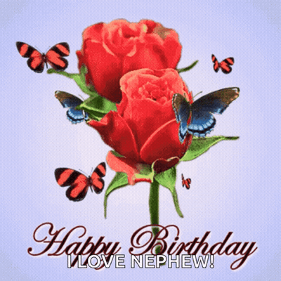 Red Roses Butterflies Happy Birthday I Love Nephew GIF