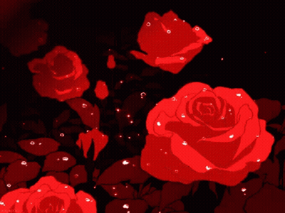 Red Roses GIF