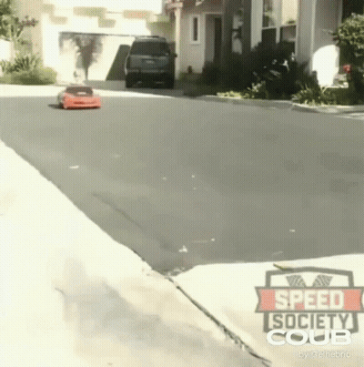 Red Roses Growing On Tree GIF