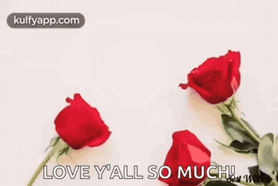 Red Roses Happy Anniversary Greeting Card Wishing You Both GIF