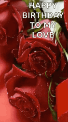 Red Roses Happy Birthday Wife GIF