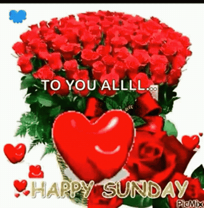 Red Roses Heart To You Alllll Happy Sunday GIF