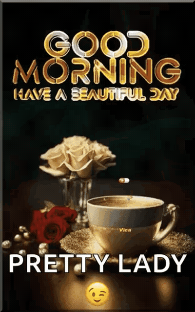Red Roses Hearts A Dozen Roses Beautiful Woman GIF